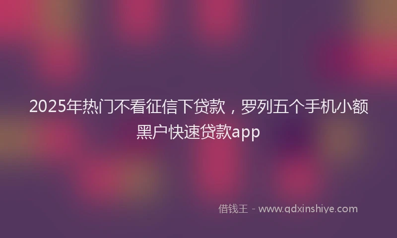 2025年热门不看征信下贷款，罗列五个手机小额黑户快速贷款app