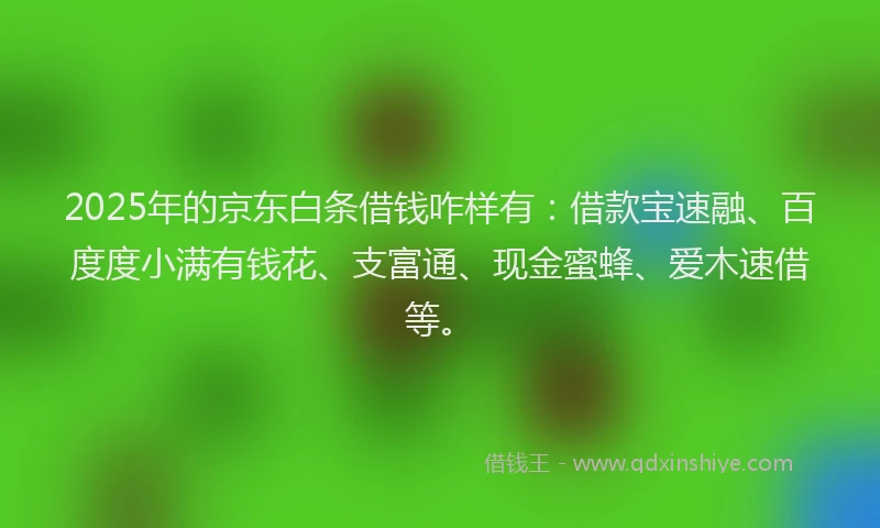 2025年的京东白条借钱咋样有：借款宝速融、百度度小满有钱花、支富通、现金蜜蜂、爱木速借等。