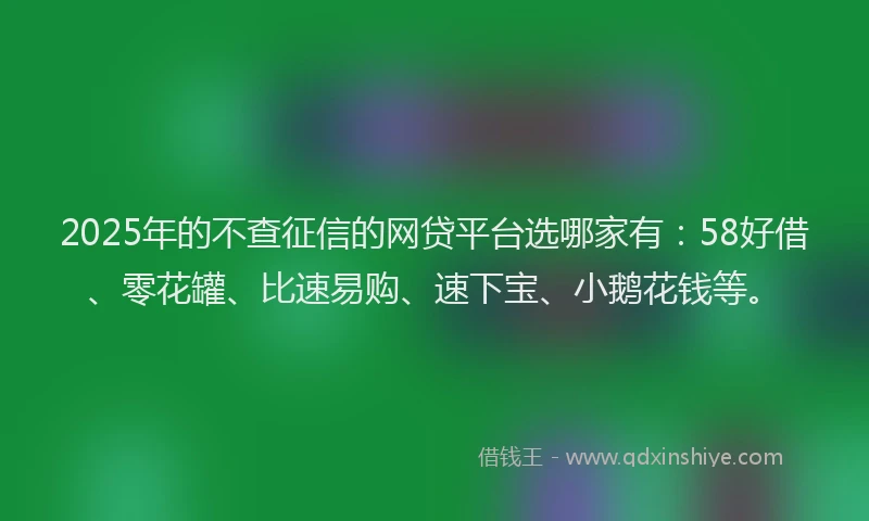 2025年的不查征信的网贷平台选哪家有：58好借、零花罐、比速易购、速下宝、小鹅花钱等。