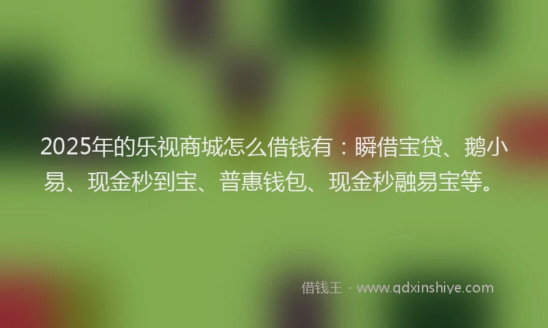 2025年的乐视商城怎么借钱有：瞬借宝贷、鹅小易、现金秒到宝、普惠钱包、现金秒融易宝等。