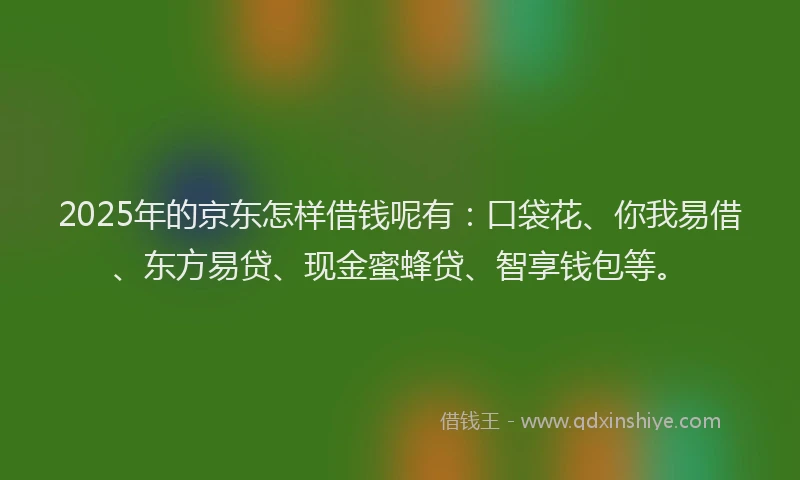 2025年的京东怎样借钱呢有：口袋花、你我易借、东方易贷、现金蜜蜂贷、智享钱包等。