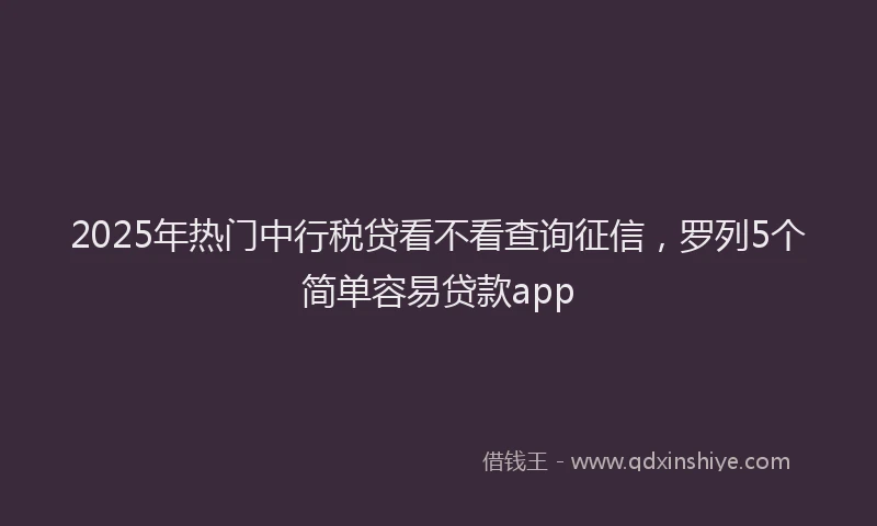 2025年热门中行税贷看不看查询征信，罗列5个简单容易贷款app
