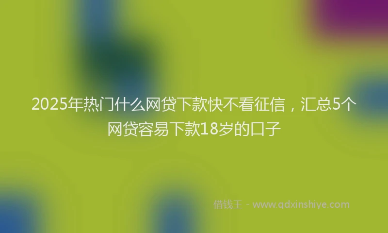 2025年热门什么网贷下款快不看征信，汇总5个网贷容易下款18岁的口子
