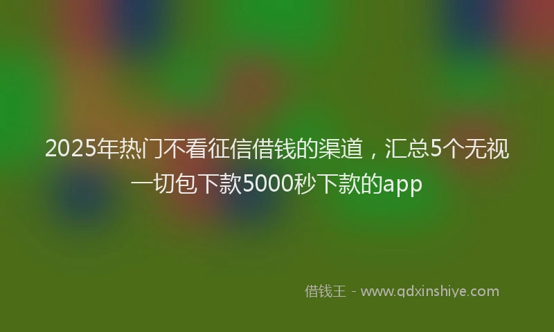 2025年热门不看征信借钱的渠道，汇总5个无视一切包下款5000秒下款的app