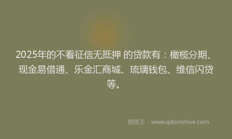 2025年的不看征信无抵押 的贷款有：橄榄分期、现金易借通、乐金汇商城、琉璃钱包、维信闪贷等。