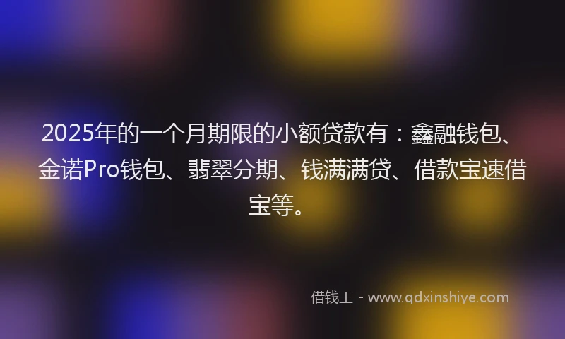 2025年的一个月期限的小额贷款有：鑫融钱包、金诺Pro钱包、翡翠分期、钱满满贷、借款宝速借宝等。
