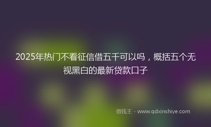 2025年热门不看征信借五千可以吗，概括五个无视黑白的最新贷款口子