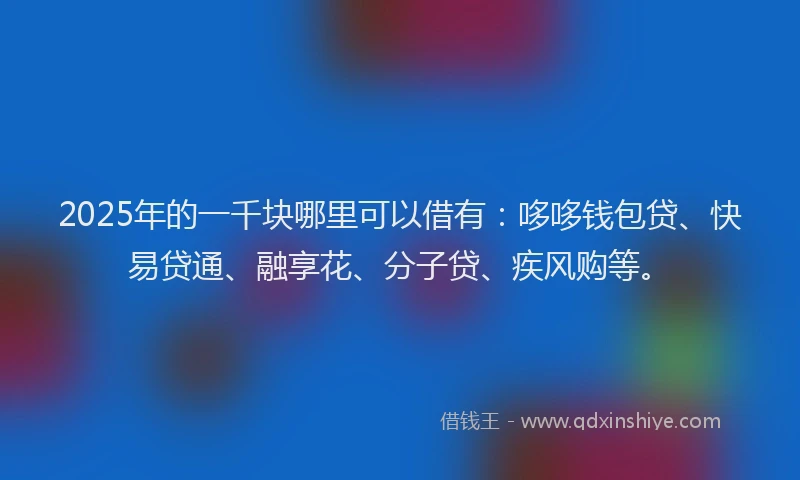 2025年的一千块哪里可以借有：哆哆钱包贷、快易贷通、融享花、分子贷、疾风购等。