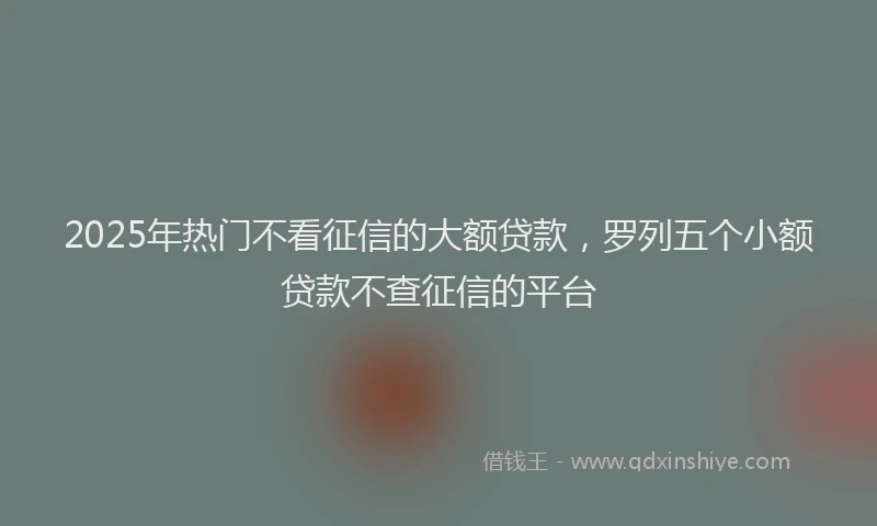 2025年热门不看征信的大额贷款，罗列五个小额贷款不查征信的平台