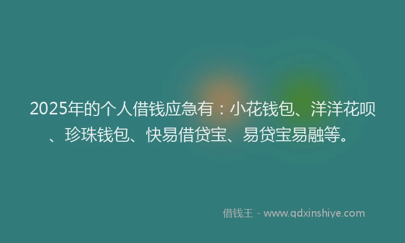 2025年的个人借钱应急有：小花钱包、洋洋花呗、珍珠钱包、快易借贷宝、易贷宝易融等。