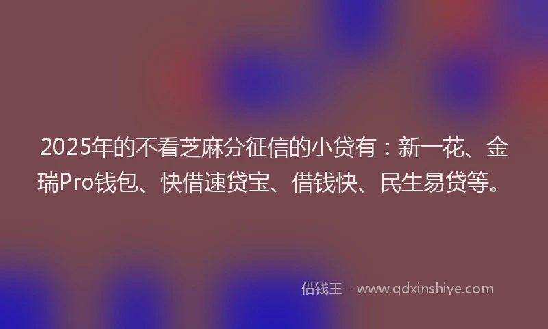 2025年的不看芝麻分征信的小贷有：新一花、金瑞Pro钱包、快借速贷宝、借钱快、民生易贷等。