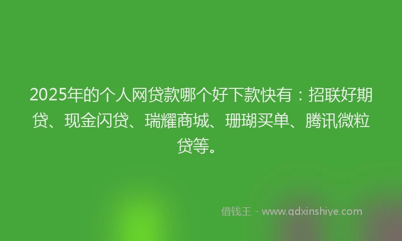 2025年的个人网贷款哪个好下款快有：招联好期贷、现金闪贷、瑞耀商城、珊瑚买单、腾讯微粒贷等。
