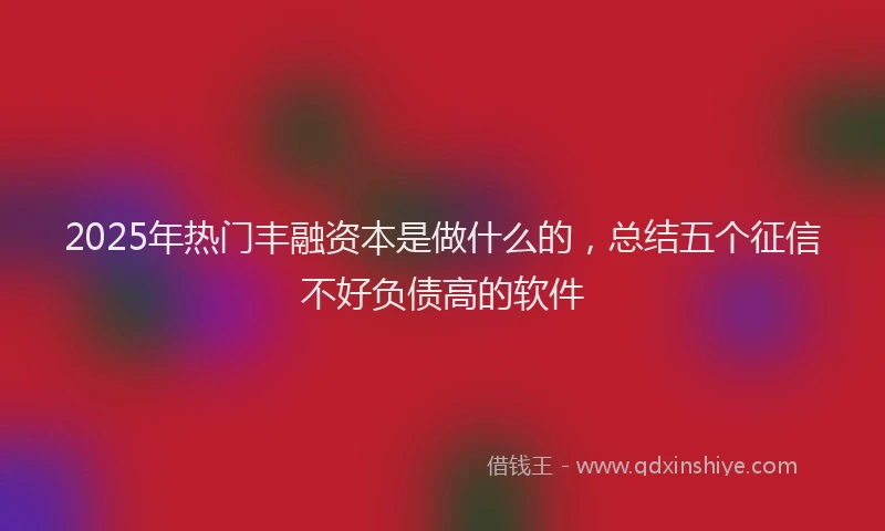 2025年热门丰融资本是做什么的，总结五个征信不好负债高的软件