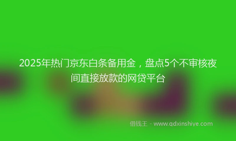 2025年热门京东白条备用金，盘点5个不审核夜间直接放款的网贷平台