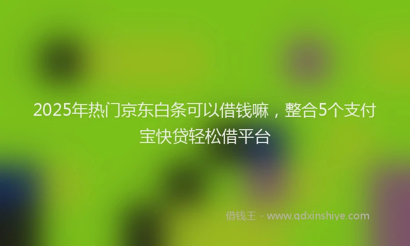 2025年热门京东白条可以借钱嘛，整合5个支付宝快贷轻松借平台