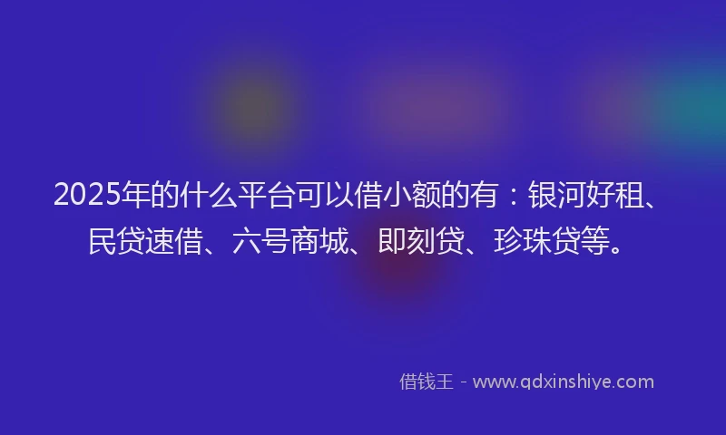 2025年的什么平台可以借小额的有：银河好租、民贷速借、六号商城、即刻贷、珍珠贷等。