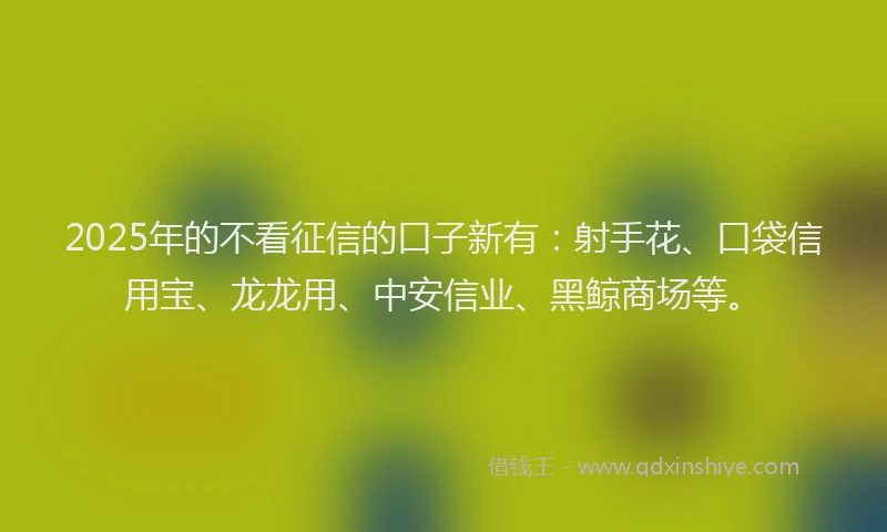 2025年的不看征信的口子新有：射手花、口袋信用宝、龙龙用、中安信业、黑鲸商场等。