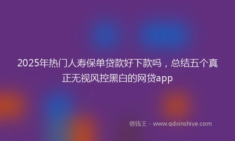 2025年热门人寿保单贷款好下款吗，总结五个真正无视风控黑白的网贷app