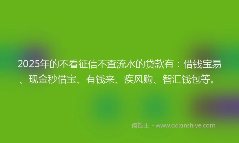 2025年的不看征信不查流水的贷款有：借钱宝易、现金秒借宝、有钱来、疾风购、智汇钱包等。