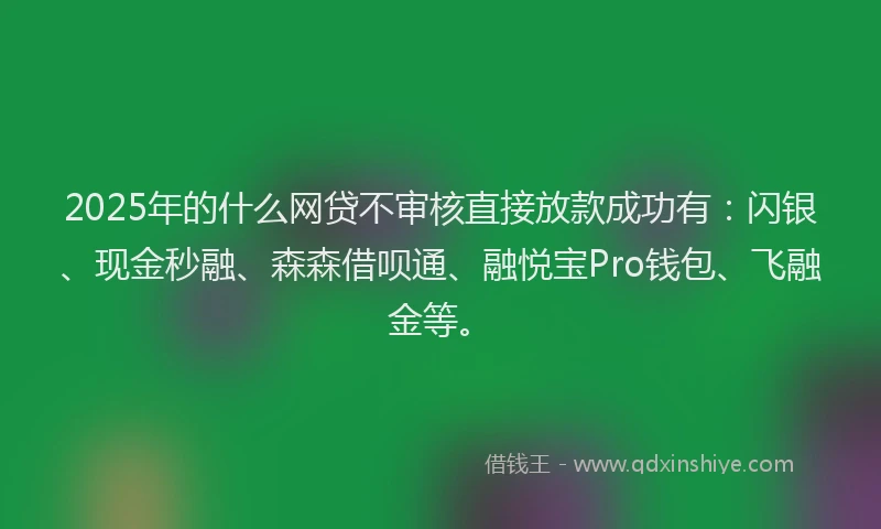 2025年的什么网贷不审核直接放款成功有：闪银、现金秒融、森森借呗通、融悦宝Pro钱包、飞融金等。