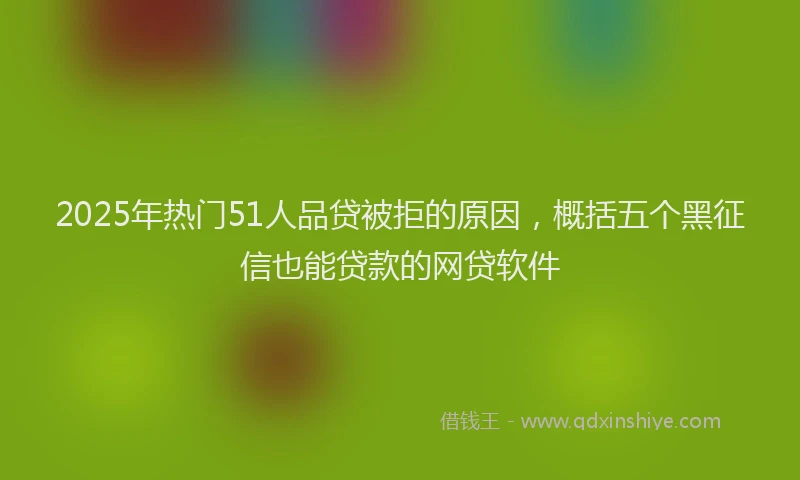 2025年热门51人品贷被拒的原因，概括五个黑征信也能贷款的网贷软件