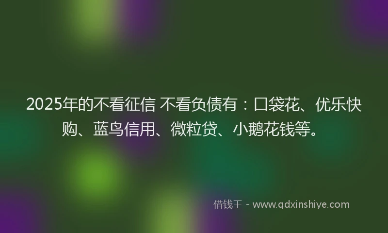 2025年的不看征信 不看负债有：口袋花、优乐快购、蓝鸟信用、微粒贷、小鹅花钱等。
