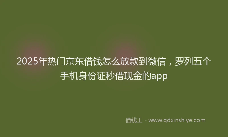 2025年热门京东借钱怎么放款到微信，罗列五个手机身份证秒借现金的app