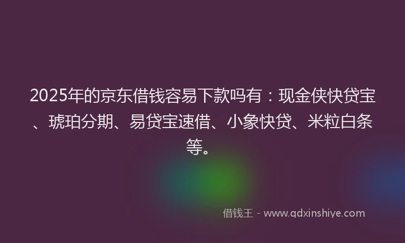 2025年的京东借钱容易下款吗有：现金侠快贷宝、琥珀分期、易贷宝速借、小象快贷、米粒白条等。