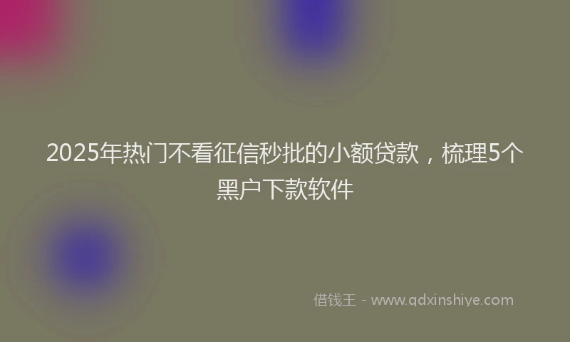 2025年热门不看征信秒批的小额贷款，梳理5个黑户下款软件