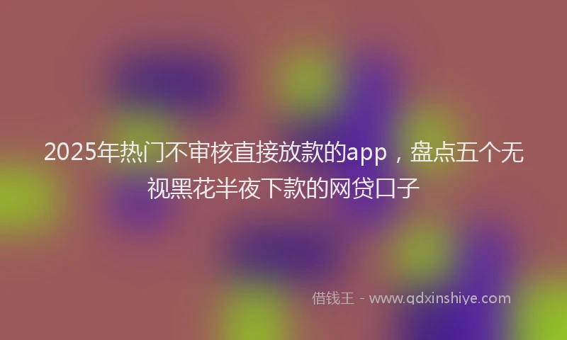 2025年热门不审核直接放款的app，盘点五个无视黑花半夜下款的网贷口子