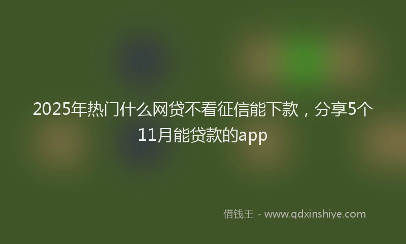 2025年热门什么网贷不看征信能下款，分享5个11月能贷款的app