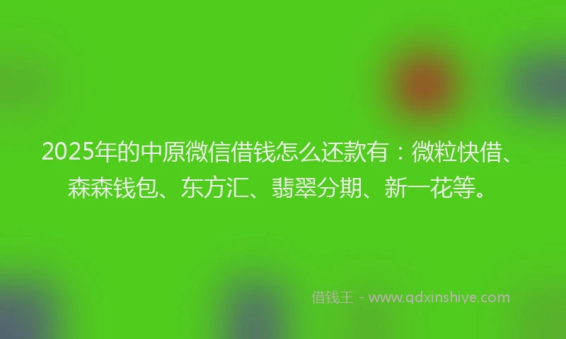 2025年的中原微信借钱怎么还款有：微粒快借、森森钱包、东方汇、翡翠分期、新一花等。