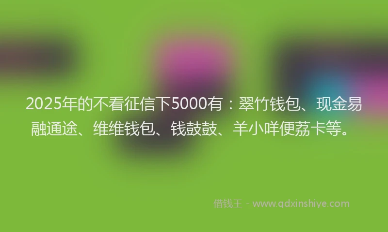 2025年的不看征信下5000有：翠竹钱包、现金易融通途、维维钱包、钱鼓鼓、羊小咩便荔卡等。