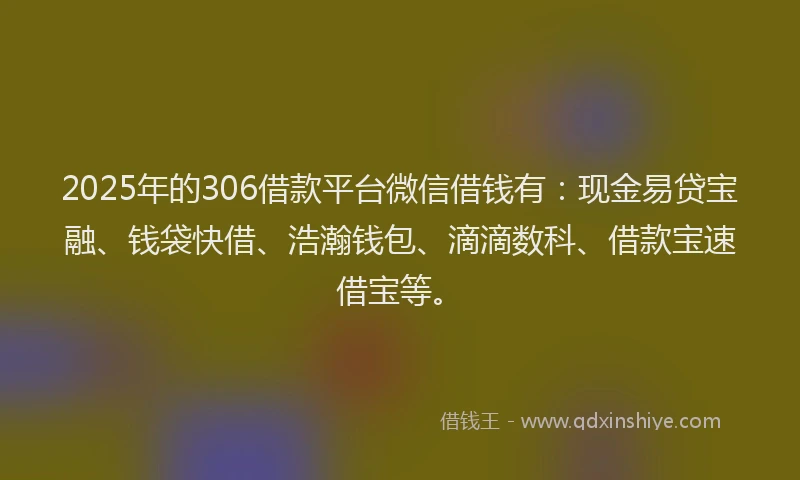 2025年的306借款平台微信借钱有：现金易贷宝融、钱袋快借、浩瀚钱包、滴滴数科、借款宝速借宝等。