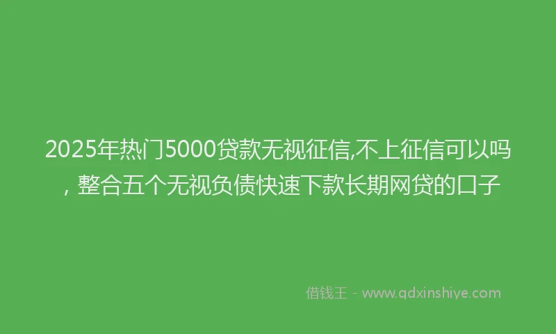 2025年热门5000贷款无视征信,不上征信可以吗，整合五个无视负债快速下款长期网贷的口子