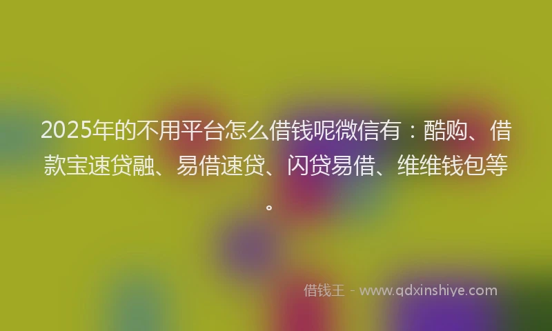 2025年的不用平台怎么借钱呢微信有：酷购、借款宝速贷融、易借速贷、闪贷易借、维维钱包等。