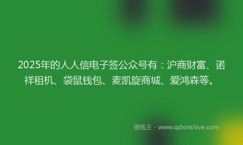 2025年的人人信电子签公众号有：沪商财富、诺祥租机、袋鼠钱包、麦凯旋商城、爱鸿森等。