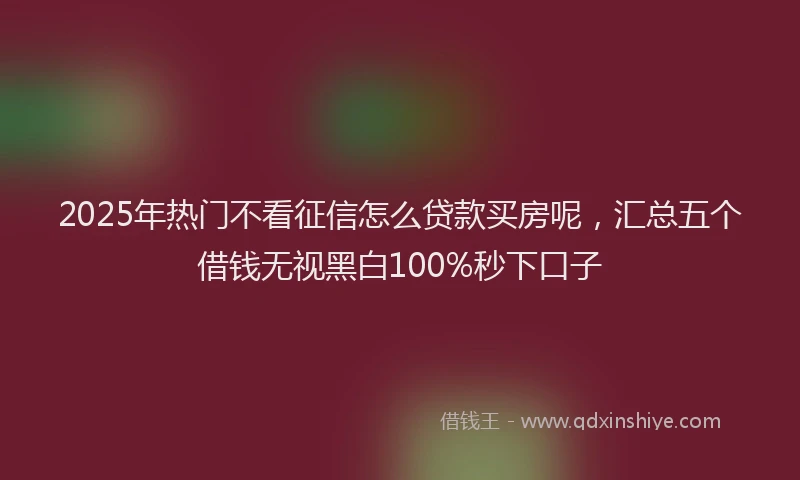 2025年热门不看征信怎么贷款买房呢，汇总五个借钱无视黑白100%秒下口子