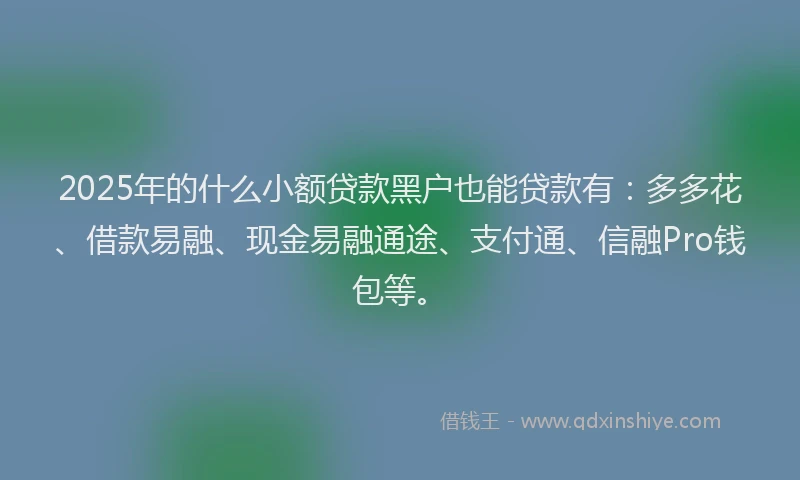 2025年的什么小额贷款黑户也能贷款有：多多花、借款易融、现金易融通途、支付通、信融Pro钱包等。