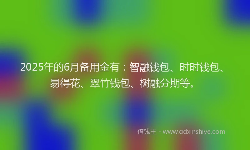 2025年的6月备用金有：智融钱包、时时钱包、易得花、翠竹钱包、树融分期等。