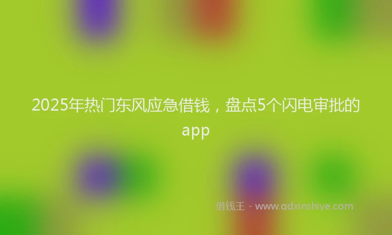 2025年热门东风应急借钱，盘点5个闪电审批的app