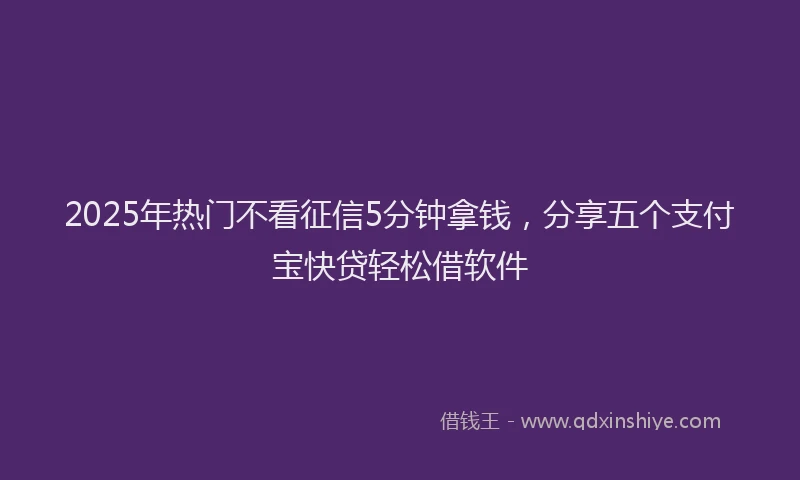 2025年热门不看征信5分钟拿钱，分享五个支付宝快贷轻松借软件