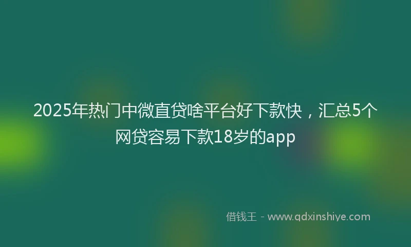 2025年热门中微直贷啥平台好下款快，汇总5个网贷容易下款18岁的app