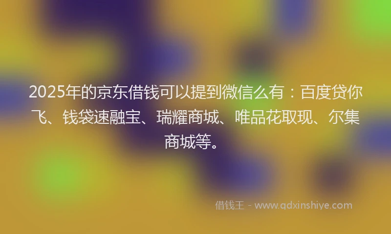 2025年的京东借钱可以提到微信么有：百度贷你飞、钱袋速融宝、瑞耀商城、唯品花取现、尔集商城等。