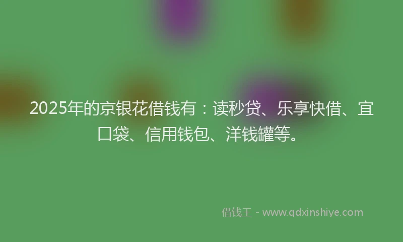 2025年的京银花借钱有：读秒贷、乐享快借、宜口袋、信用钱包、洋钱罐等。