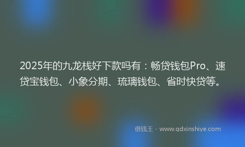 2025年的九龙栈好下款吗有：畅贷钱包Pro、速贷宝钱包、小象分期、琉璃钱包、省时快贷等。
