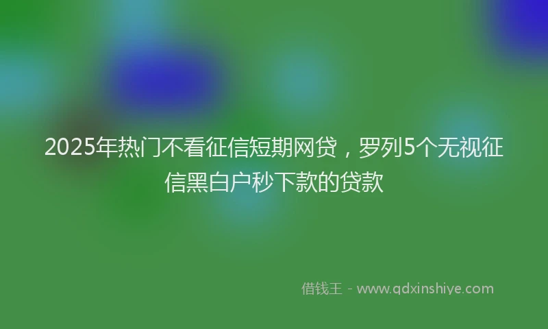 2025年热门不看征信短期网贷，罗列5个无视征信黑白户秒下款的贷款