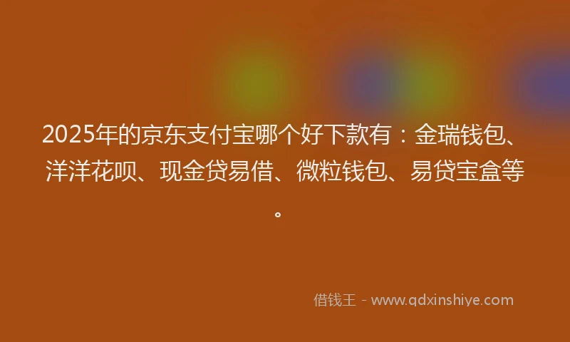 2025年的京东支付宝哪个好下款有：金瑞钱包、洋洋花呗、现金贷易借、微粒钱包、易贷宝盒等。