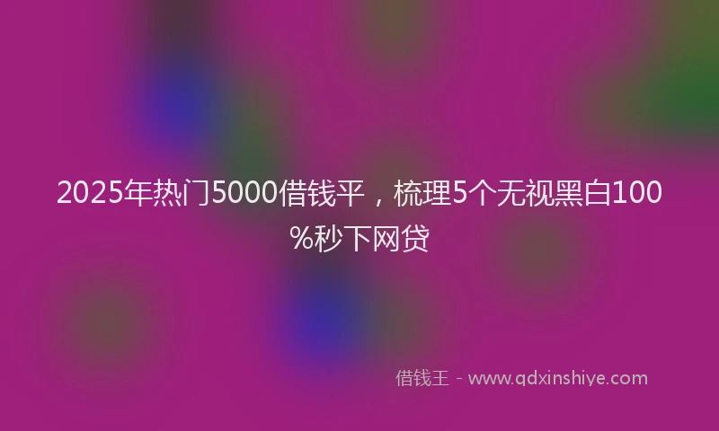 2025年热门5000借钱平，梳理5个无视黑白100%秒下网贷