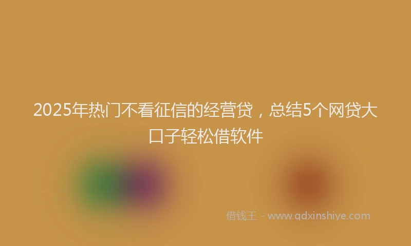 2025年热门不看征信的经营贷，总结5个网贷大口子轻松借软件